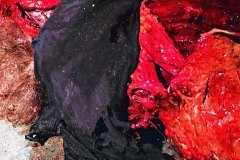 abysmal-purgatory-movie-screenshot-01