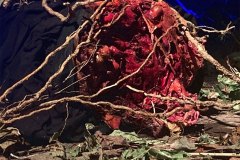 abysmal-purgatory-movie-screenshot-07