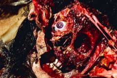abysmal-purgatory-movie-screenshot-12