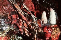 abysmal-purgatory-movie-screenshot-13