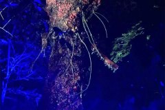 abysmal-purgatory-movie-screenshot-16