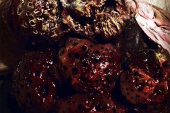 abysmal-purgatory-movie-screenshot-20