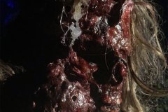 abysmal-purgatory-movie-screenshot-23