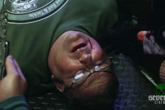 all-jacked-up-and-full-of-worms-00024