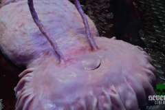 all-jacked-up-and-full-of-worms-00028