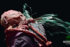 all-jacked-up-and-full-of-worms-00038