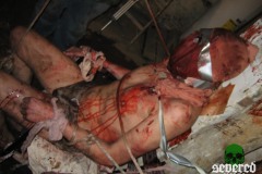 august-undergrounds-penance-promo-photo-11