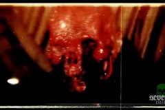 backwood-camp-massacre-07
