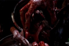 bad-meat-11