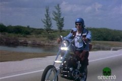 blood-freak-movie-screenshot-00003