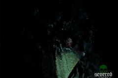 blood-freak-movie-screenshot-00018