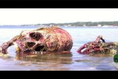 blood-pigs-screenshots-00001