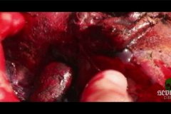 blood-pigs-screenshots-00010