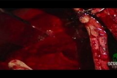 blood-pigs-screenshots-00013