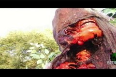 blood-pigs-screenshots-00018