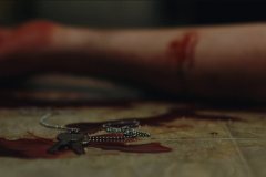 blue-ruin-movie-screenshot-00011