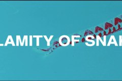 Calamity of Snakes title card