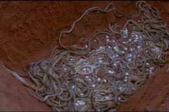 Calamity of Snakes blu-ray screenshot