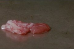calamity-of-snakes-movie-screenshot-00017