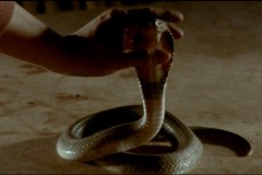 calamity-of-snakes-movie-screenshot-00027