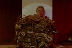 Calamity of Snakes blu-ray screenshot