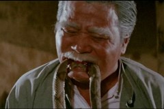 calamity-of-snakes-movie-screenshot-00035