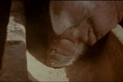 calamity-of-snakes-movie-screenshot-00043