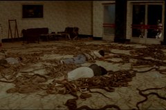 Calamity of Snakes blu-ray screenshot