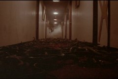 calamity-of-snakes-movie-screenshot-00049
