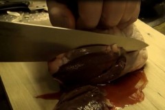 cannibal-fog-14