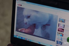 cat-sick-blues-00001