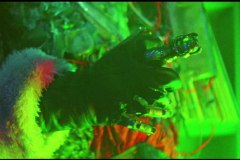 christmas-bloody-christmas-00035
