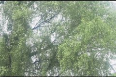 city-of-dunwich-movie-screenshot-00002