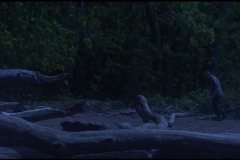 city-of-dunwich-movie-screenshot-00013