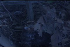 city-of-dunwich-movie-screenshot-00015
