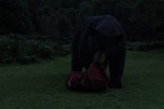 cocaine-bear-00028