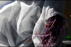color-space-blood-red-screenshot-00004