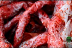 color-space-blood-red-screenshot-00021