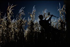 dark-harvest-2023-movie-screenshot-00021