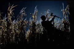 dark-harvest-2023-movie-screenshot-00021