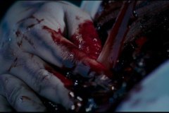 devils-playground-13