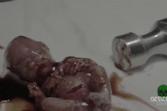 dolls-are-meant-to-be-trash-movie-screenshot-00002