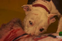 hell-van-movie-screenshot-00019