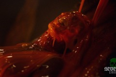 kids-vs-aliens-screenshot-04