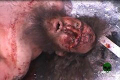 iwa-king-of-the-death-matches-2005-24