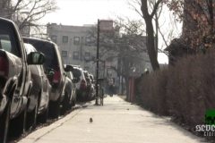 leaf-blower-massacre-movie-screenshot-00007