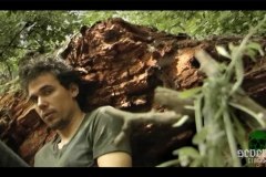 Life and Death of a Porno Gang movie screenshot