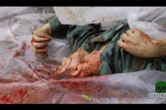 Life and Death of a Porno Gang movie screenshot