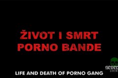 Life and Death of a Porno Gang title card