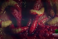lilli-got-sick-00022